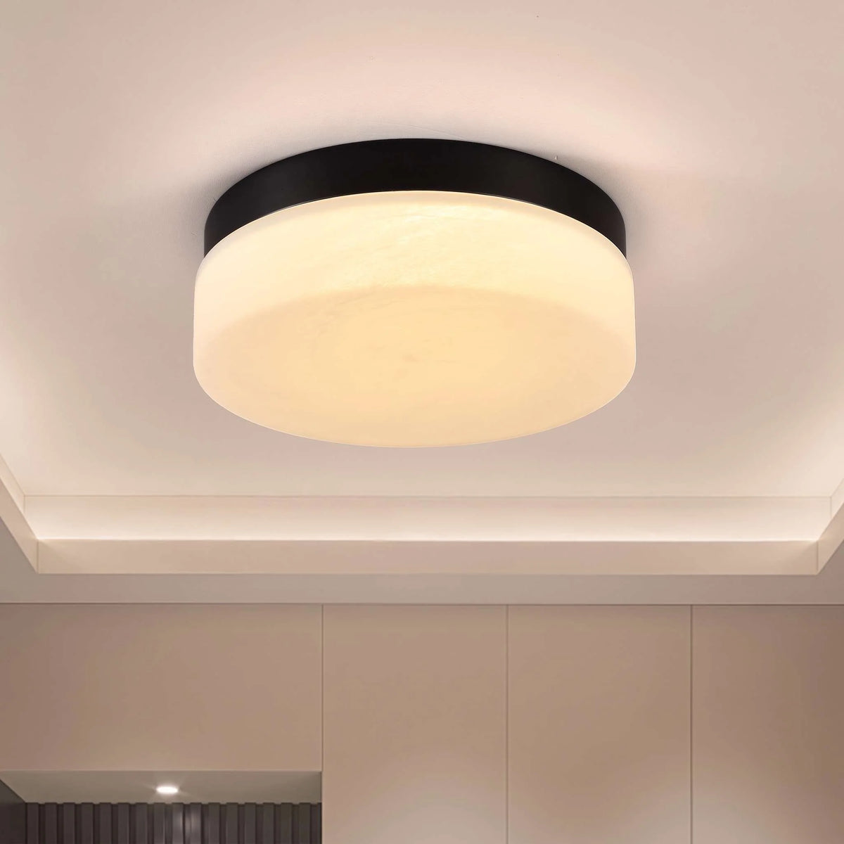Flush Mount Ceiling Light | Integrated LED & 5 Color Temperatures | 12-Inch