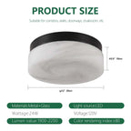 Flush Mount Ceiling Light | Integrated LED & 5 Color Temperatures | 12-Inch