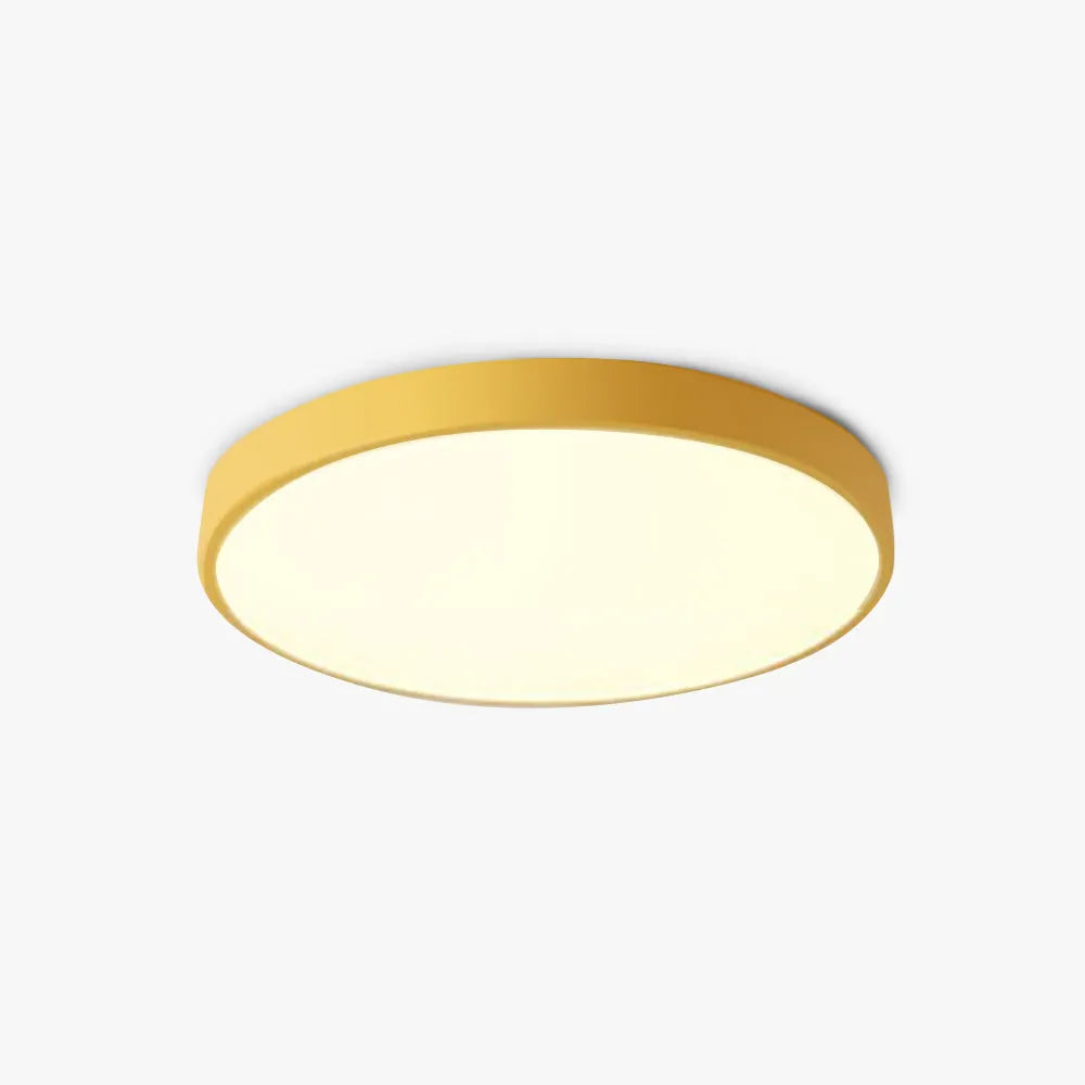Flush Mount Ceiling Light | Round Acrylic Shade & Metal Body | Dimmable LED