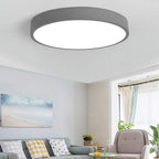 Flush Mount Ceiling Light | Round Acrylic Shade & Metal Body | Dimmable LED