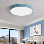 Flush Mount Ceiling Light | Round Acrylic Shade & Metal Body | Dimmable LED