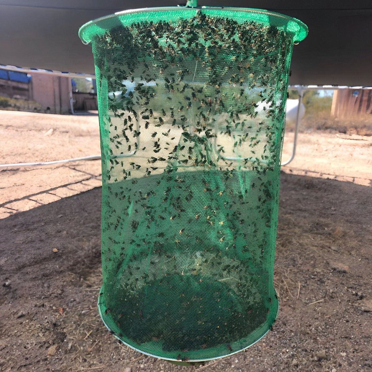 Fly Trap | Non-Toxic, Odor-Free & Reusable | Holds 4x More