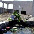 Fountain Pump | Solar-Powered Brushless & Automatic | 150 L/H