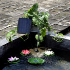 Fountain Pump | Solar-Powered Brushless & Automatic | 150 L/H