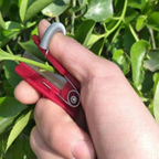 Fruit & Vegetable Picker | Long-Reach Stainless Steel Head
