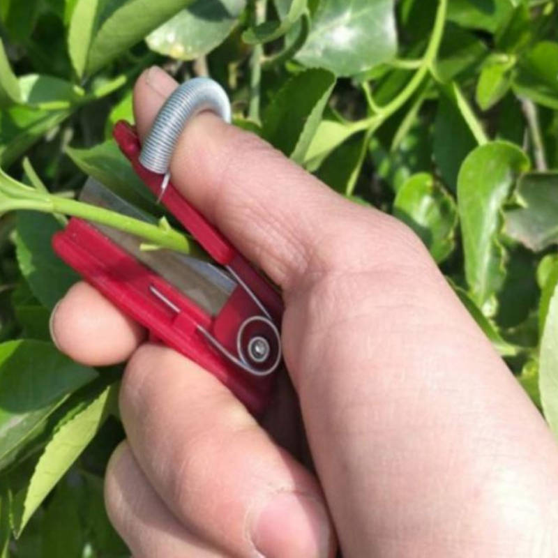 Fruit & Vegetable Picker | Long-Reach Stainless Steel Head