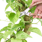 Garden Pruning Shears | Slim Stainless Steel Blades & Ergonomic Wooden Handle