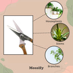 Garden Pruning Shears | Slim Stainless Steel Blades & Ergonomic Wooden Handle