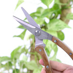 Garden Pruning Shears | Slim Stainless Steel Blades & Ergonomic Wooden Handle