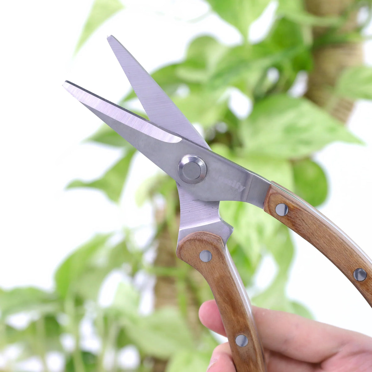 Garden Pruning Shears | Slim Stainless Steel Blades & Ergonomic Wooden Handle