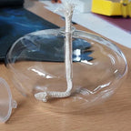 Oil Lamp | Clear Cylindrical Glass Body | Wick Included