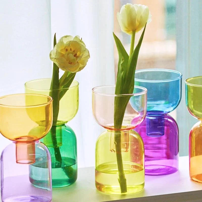 Glass Vase | Colourful Bottle-Stopper Design | Two-Piece