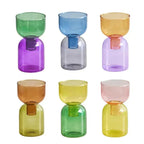 Glass Vase | Colourful Bottle-Stopper Design | Two-Piece