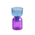 Glass Vase | Colourful Bottle-Stopper Design | Two-Piece
