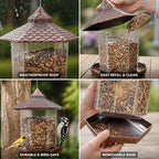 Hanging Bird Feeder | Weatherproof Roof & Transparent Body | 1.18 kg Capacity