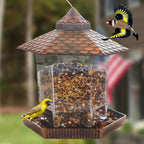 Hanging Bird Feeder | Weatherproof Roof & Transparent Body | 1.18 kg Capacity