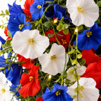 Hanging Flower Basket | Integrated LED Lighting & Silk Flowers