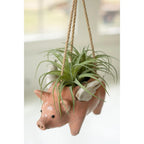 Hanging Planter | Ceramic Flying Pig Design | No Drainage Holes