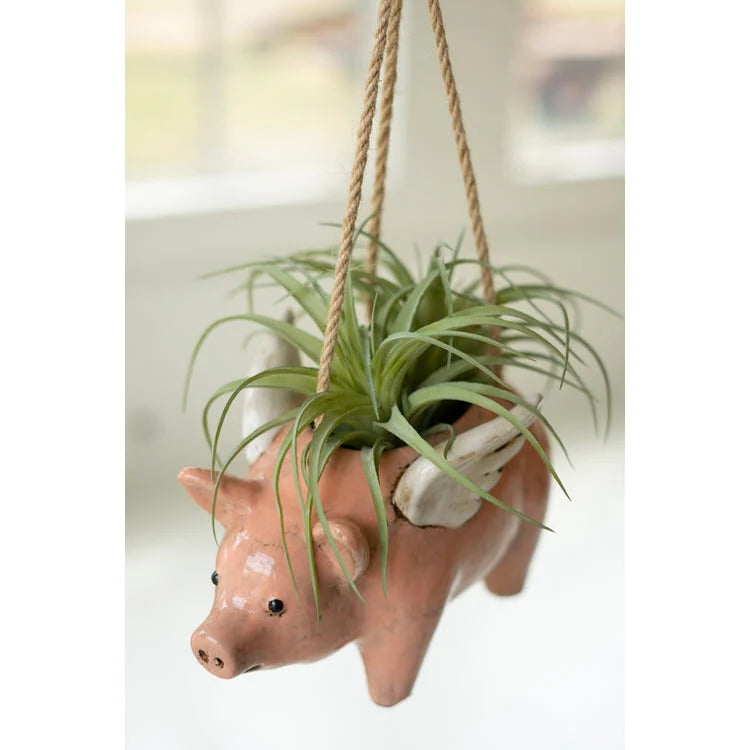 Hanging Planter | Ceramic Flying Pig Design | No Drainage Holes