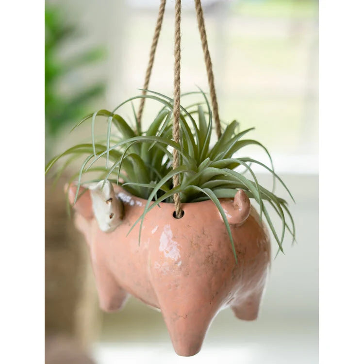 Hanging Planter | Ceramic Flying Pig Design | No Drainage Holes