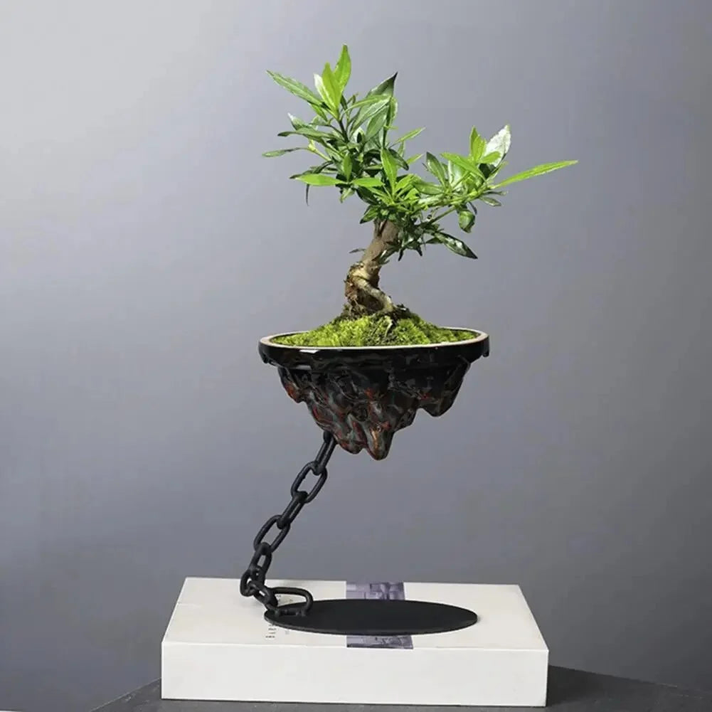 Hanging Planter | Chain Suspension & Drainage