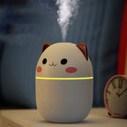 Humidifier | Built-In Night Light & USB Powered | 200 ml Tank
