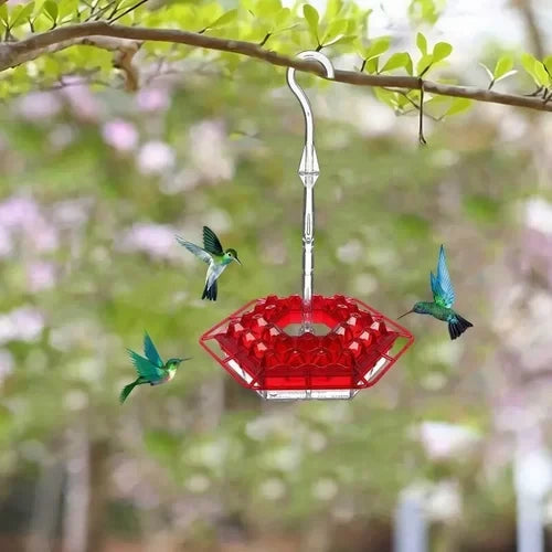 Hummingbird Feeder | Bee-Resistant Multiple Ports & Perch