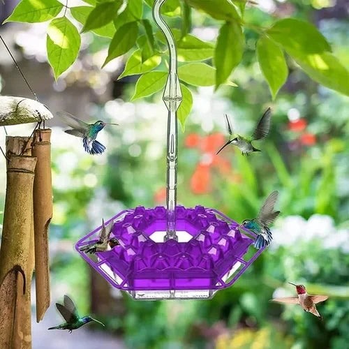 Hummingbird Feeder | Bee-Resistant Multiple Ports & Perch