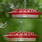 Hummingbird Feeder | Bee-Resistant Multiple Ports & Perch