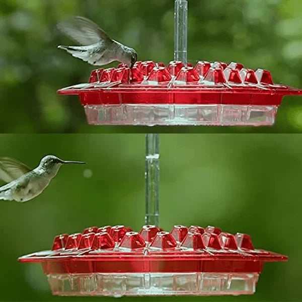 Hummingbird Feeder | Bee-Resistant Multiple Ports & Perch