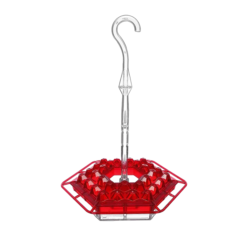 Hummingbird Feeder | Bee-Resistant Multiple Ports & Perch