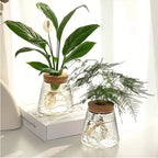 Hydroponic Plant Vase | Clear Glass & Cork Accents | 400 ml Capacity