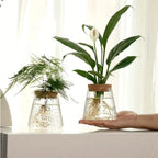 Hydroponic Plant Vase | Clear Glass & Cork Accents | 400 ml Capacity