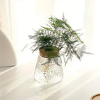Hydroponic Plant Vase | Clear Glass & Cork Accents | 400 ml Capacity