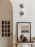 Indoor Wall Lamp | Circular Metal Body & Acrylic Rim | Damp Rated