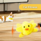 Interactive Cat Toy | Fluttering Wings & Quacking Sound | USB-Rechargeable