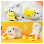 Interactive Cat Toy | Fluttering Wings & Quacking Sound | USB-Rechargeable