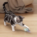 Interactive Cat Toy | Obstacle-Avoiding & Self-Righting