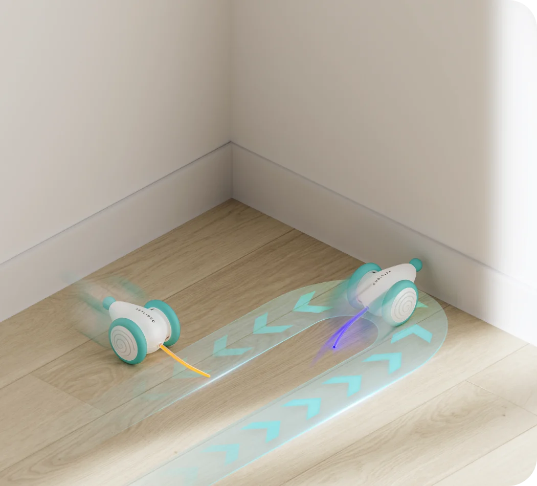 Interactive Cat Toy | Obstacle-Avoiding & Self-Righting