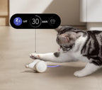Interactive Cat Toy | Obstacle-Avoiding & Self-Righting
