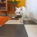 Interactive Cat Toy | Realistic Chirping & Movement