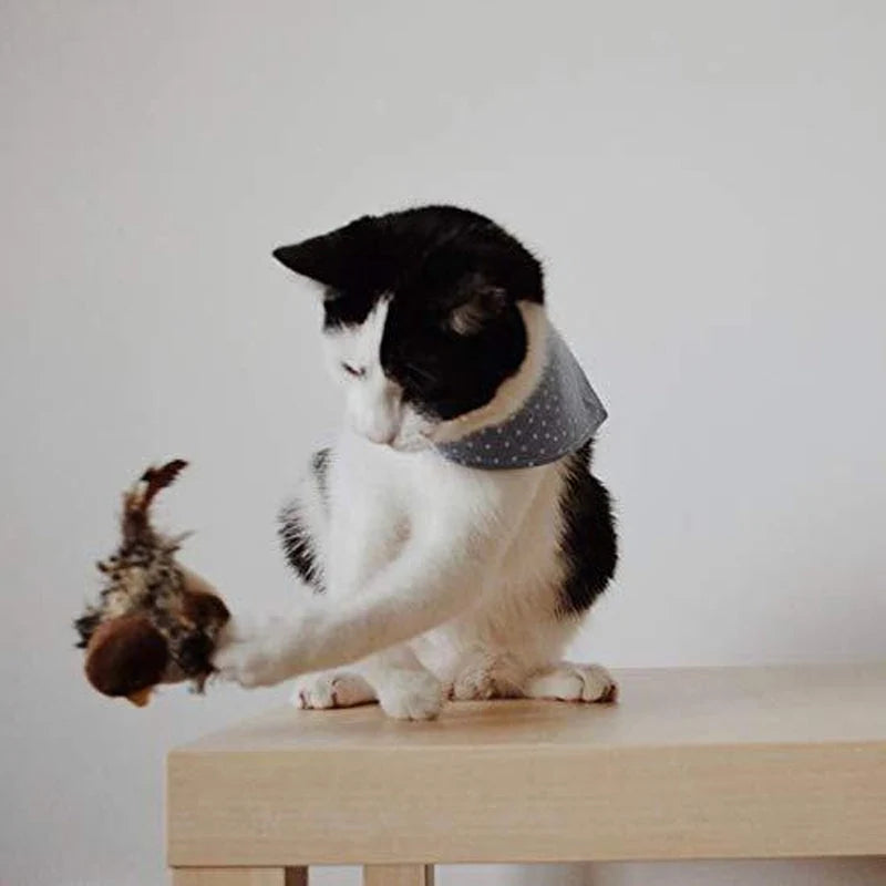 Interactive Cat Toy | Realistic Chirping & Movement