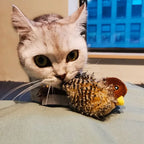 Interactive Cat Toy | Realistic Chirping & Movement