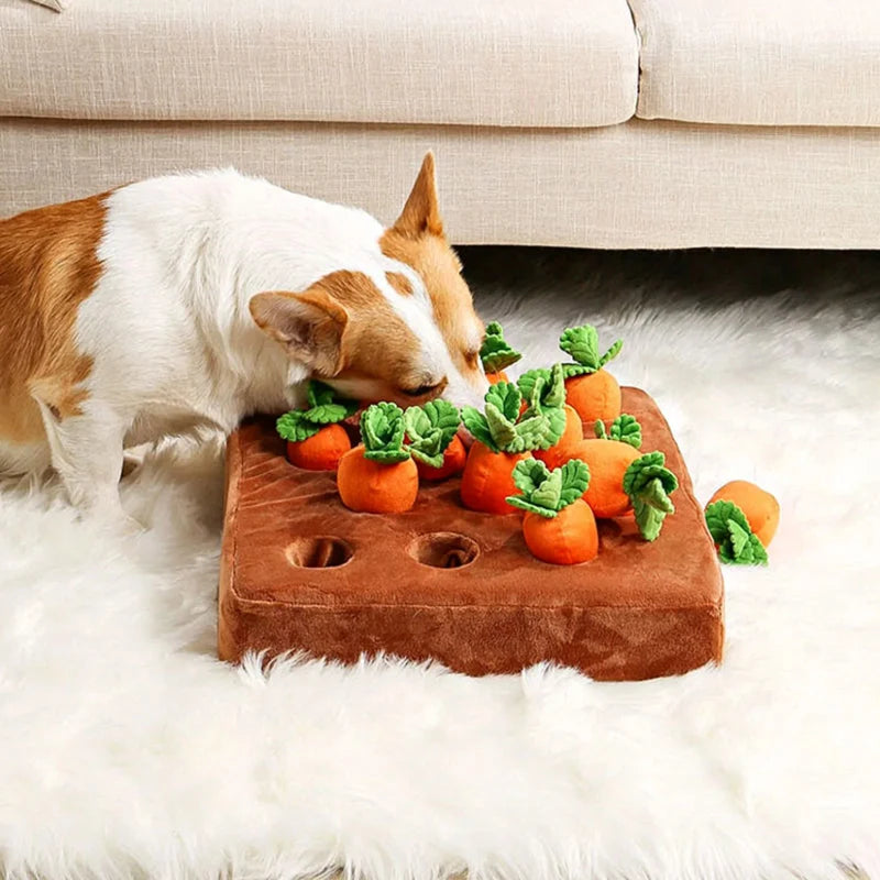 Interactive Dog Toy | 12-Compartment Snuffle Puzzle & Machine-Washable Base