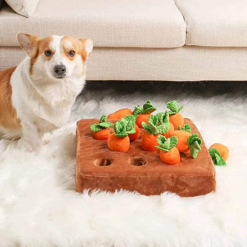 Interactive Dog Toy | 12-Compartment Snuffle Puzzle & Machine-Washable Base