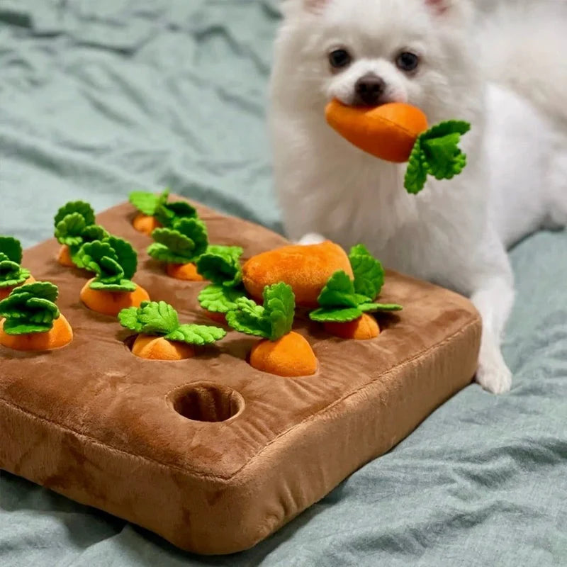 Interactive Dog Toy | 12-Compartment Snuffle Puzzle & Machine-Washable Base