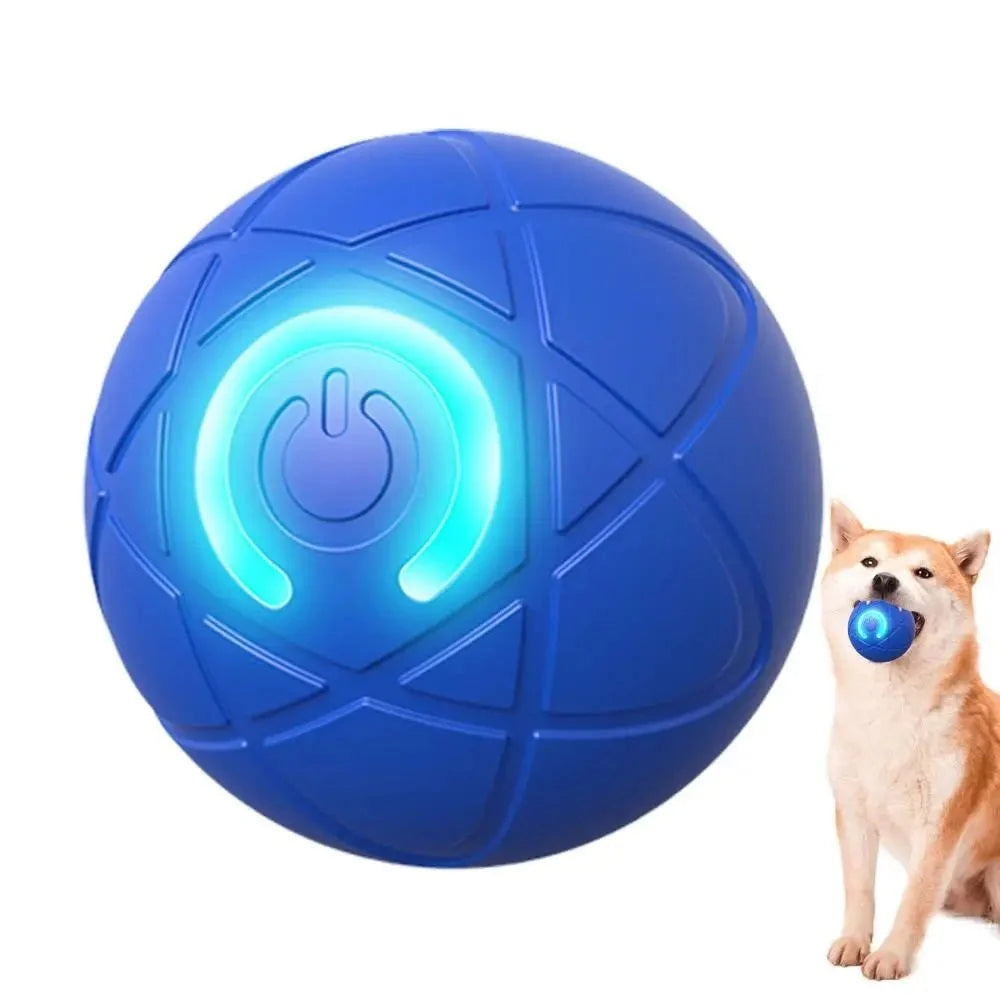 Interactive Pet Ball | Self-Moving & LED Light | Rechargeable