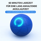 Interactive Pet Ball | Self-Moving & LED Light | Rechargeable