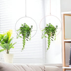 Iron Hanging Plant Pot Holder