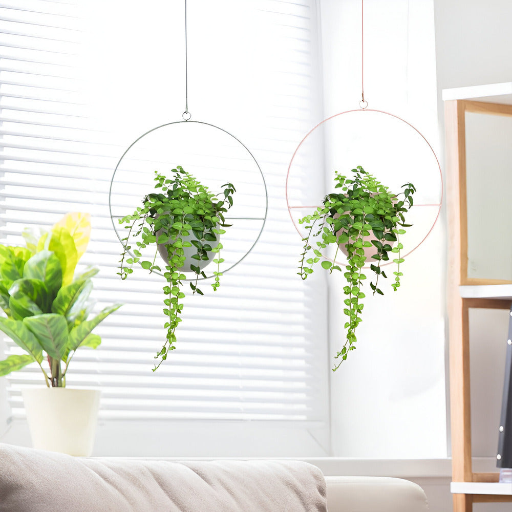 Iron Hanging Plant Pot Holder